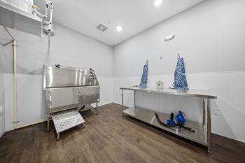 Pet washing station